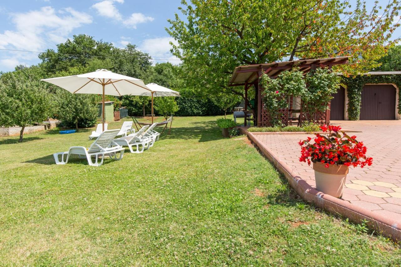 Branka Apartment Labin (Istria)