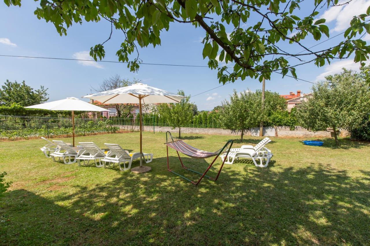 Apartment Branka
