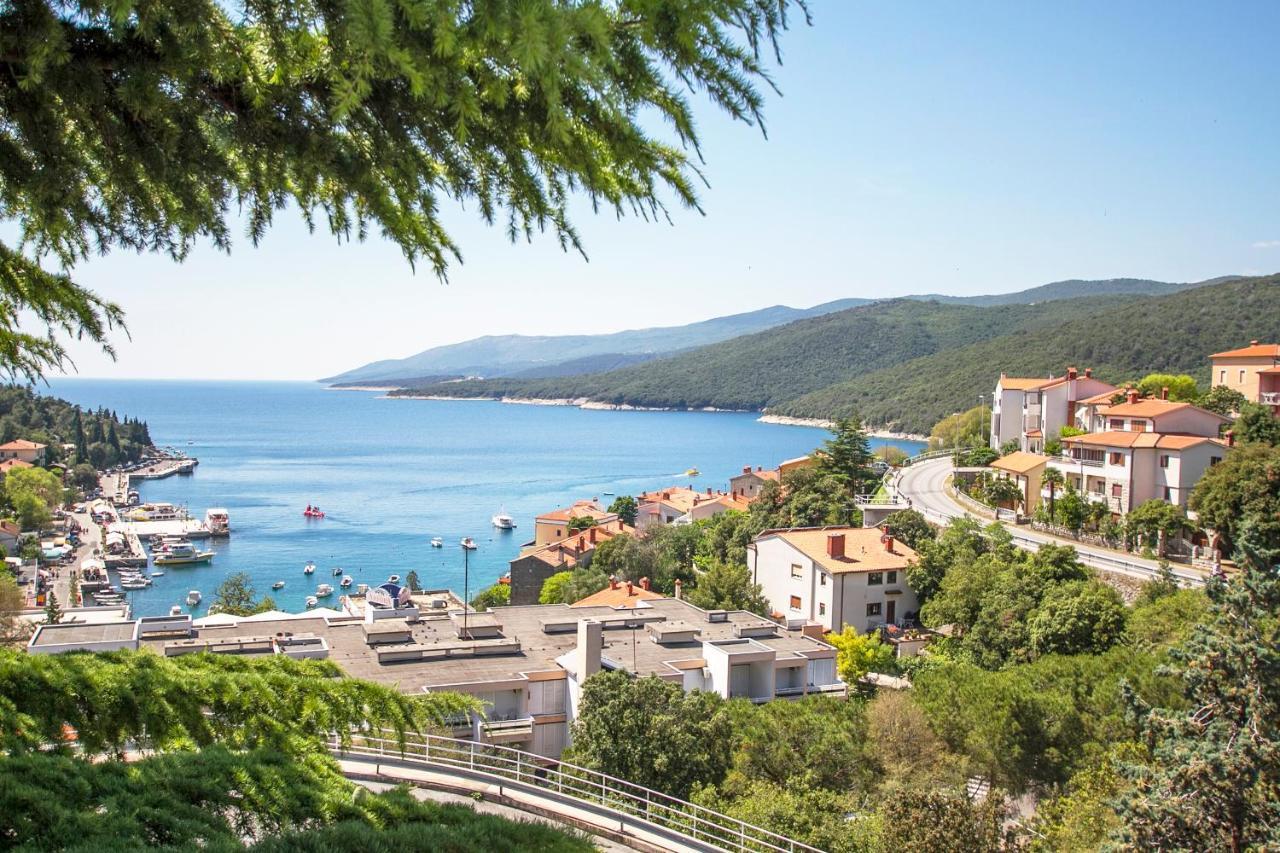Branka Apartment Labin (Istria)