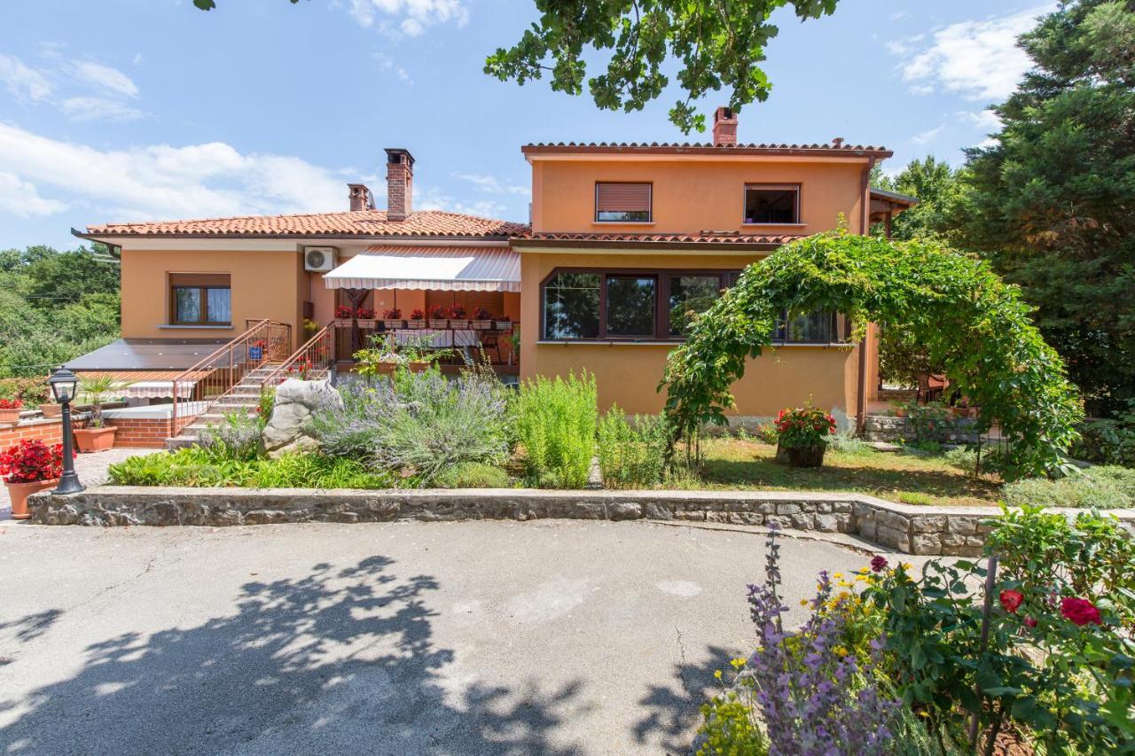 Apartment Branka
