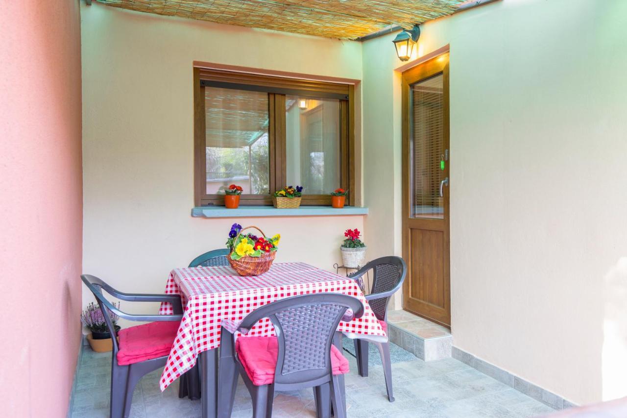 Apartment Branka *