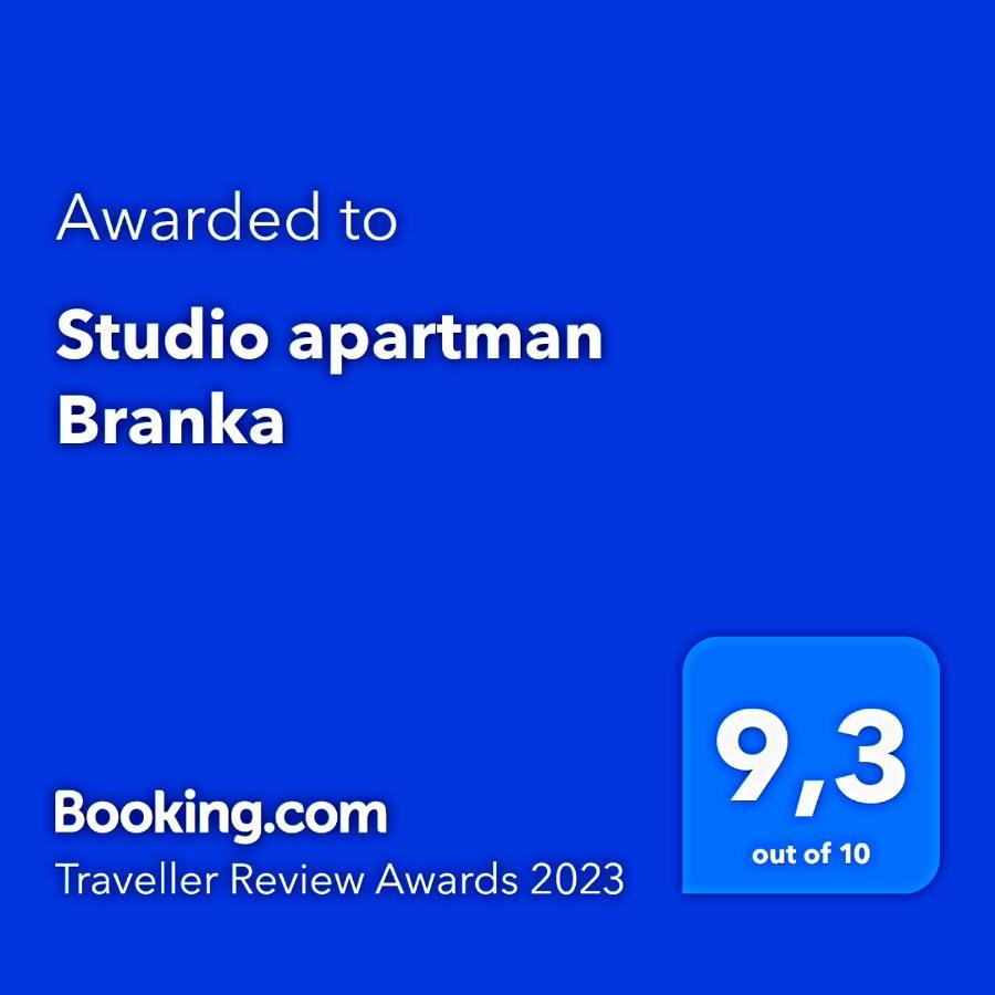 Apartment Branka Labin (Istria)